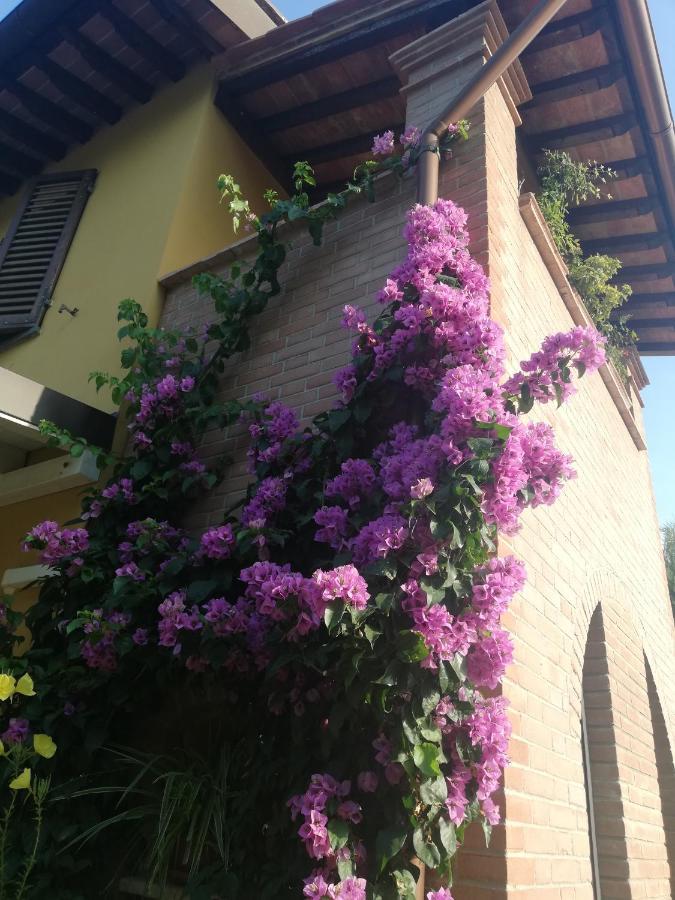 פונסאקו Casolare Isabella "Il Rifugio Dei Vinili" And Alice'S Room מראה חיצוני תמונה